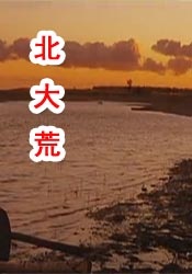 天天艹逼网